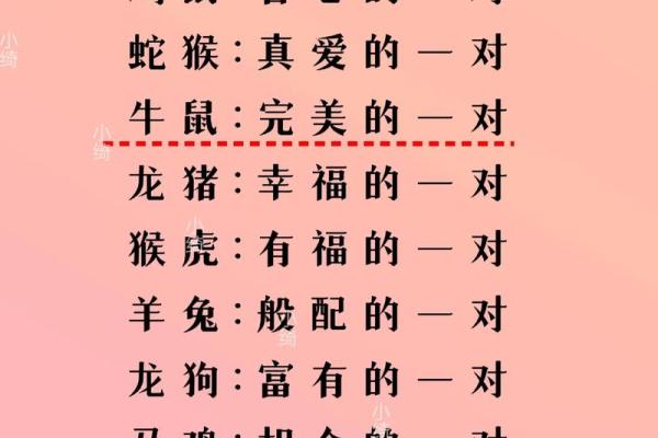 猴与猴的婚姻契合度有多高？揭开它们的婚配真相