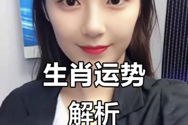生肖运势透视:如何应对财运与感情挑战 生肖运势透视:如何应对财运与感情挑战