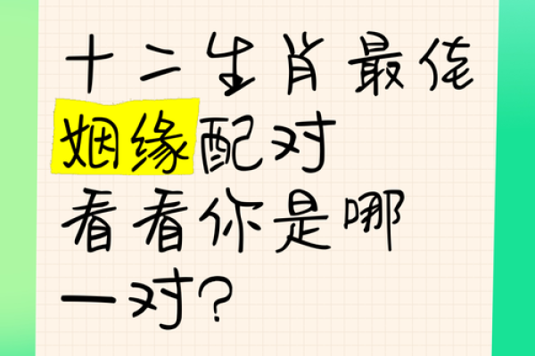 属虎与属鼠的最佳配对解析：缘分与性格的完美契合