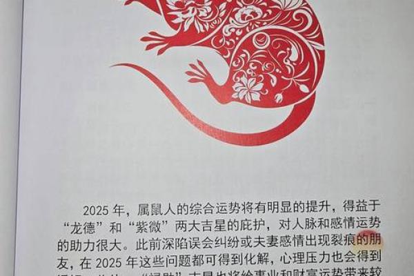 十二生肖与运程:如何根据生肖调整未来计划 十二生肖与运程:如何根据生肖调整未来计划