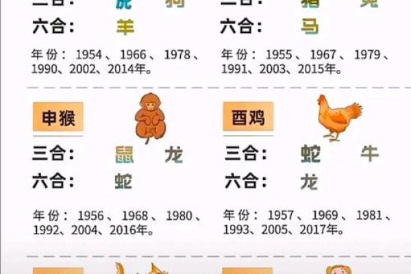 十二生肖与运程:如何根据生肖调整未来计划 十二生肖与运程:如何根据生肖调整未来计划