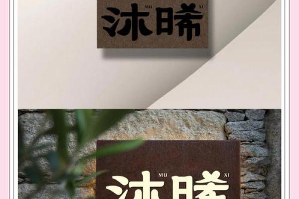 创意商标名字的灵感与选择技巧 创意商标名字的灵感与选择技巧