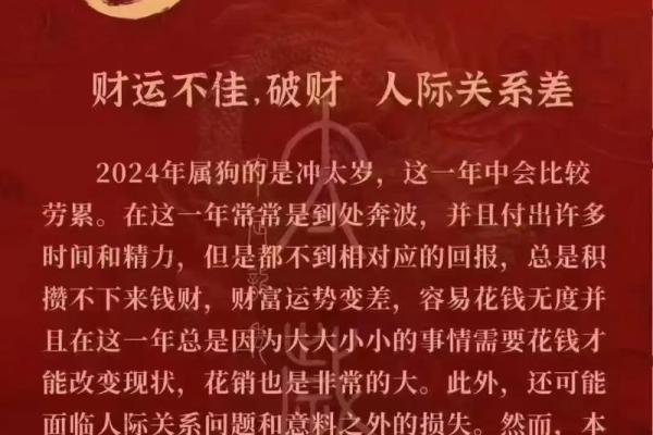 属狗逐月运程解析，掌握每月运势变化