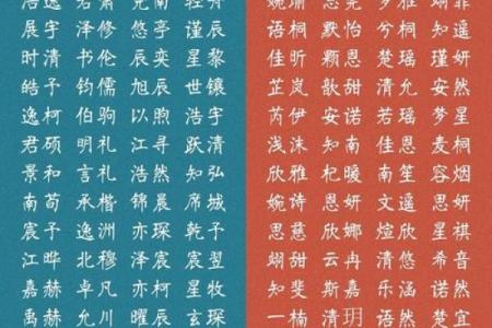 宝宝起名字免费花，如何挑选寓意深远的名字