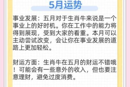 属牛人运势全面解析