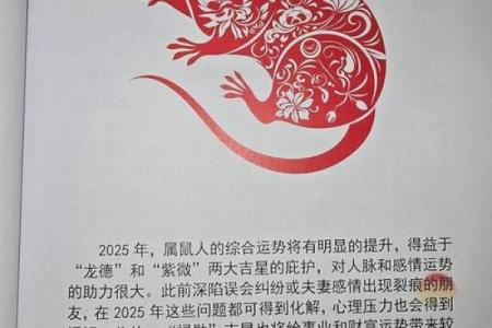 十二生肖与运程：如何根据生肖调整未来计划