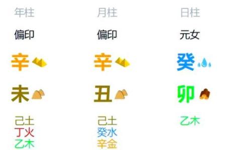 纯阳之命的命理解析与人生路径的关联