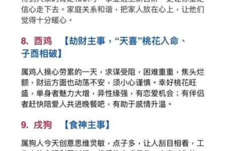 兔男本命年如何提升家庭和谐度