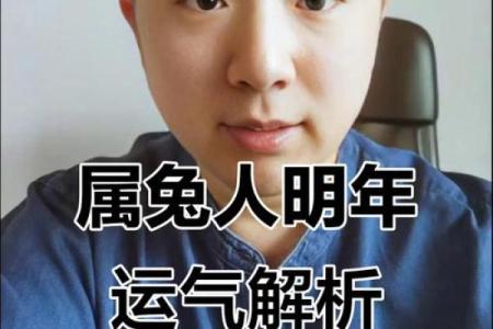 兔男本命年运势解析