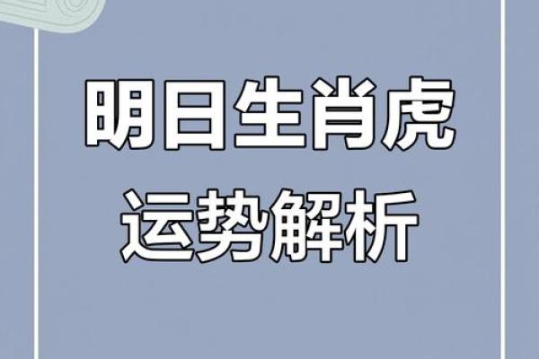 属虎的全年运势解析 属虎的全年运势解析