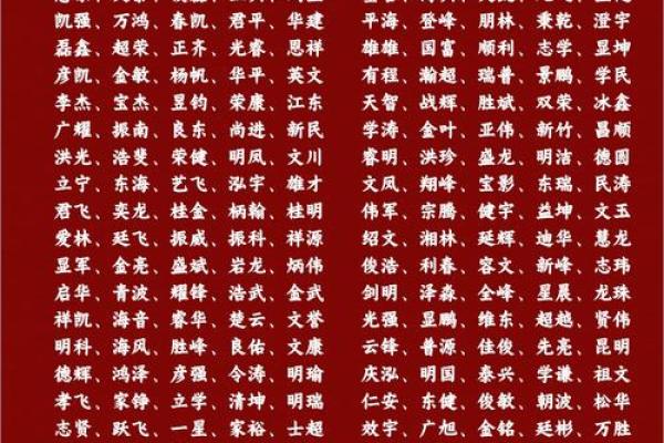 如何为男孩挑选合适的带磊名字 如何为男孩挑选合适的带磊名字