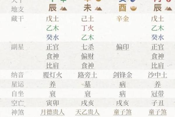 出生的命运特点与解读 出生的命运特点与解读