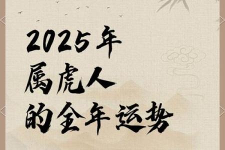 属虎的全年运势解析
