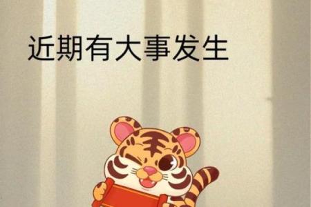 本命年虎男能否迎来好运