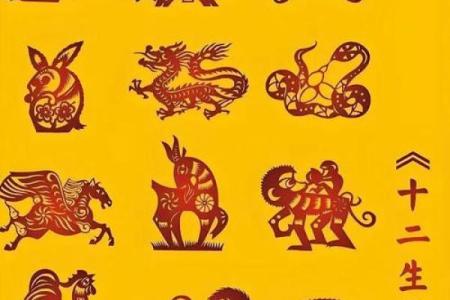 探秘李居明十二生肖运程：未来一年的运势如何