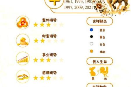 龙金牛座的财富与事业运势走向，如何做出明智决策