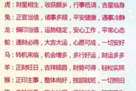 每日生肖运程看透运势走势，提前掌握关键运气