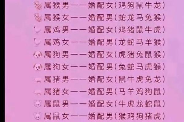 男属鸡女属兔的配对分析与婚姻运势探讨 男属鸡女属兔的配对分析与婚姻运势探讨