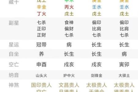 出生的纳音火命解读与运程分析