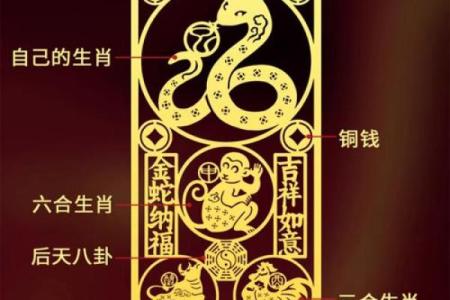 属猴人本命年如何做出理智决策