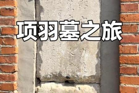 霸王名字背后的历史与文化象征