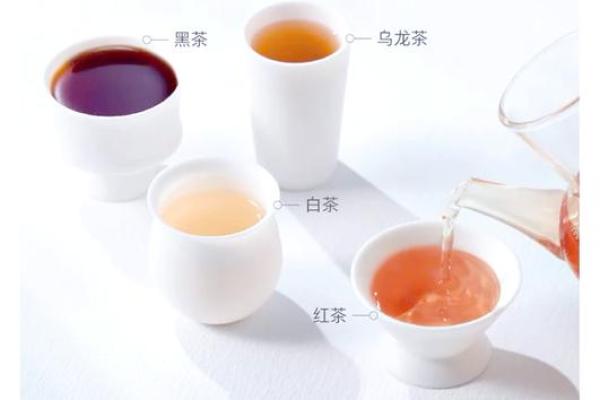 茶杯名字背后的文化象征与故事 茶杯名字背后的文化象征与故事