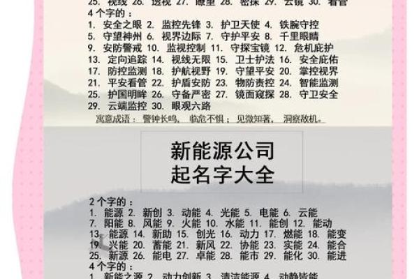 创意无限的公司名字选择指南