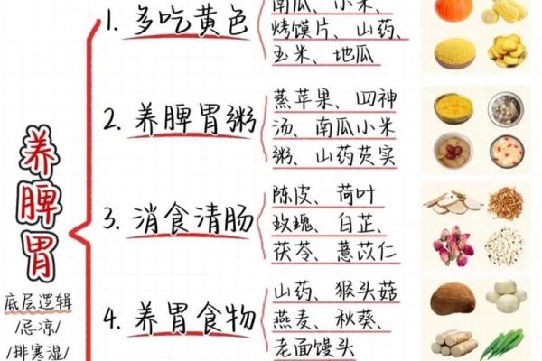 从名字到健康：如何选择一个助力长寿的名字