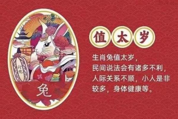 兔男本命年如何调整自己的生活步调 兔男本命年如何调整自己的生活步调
