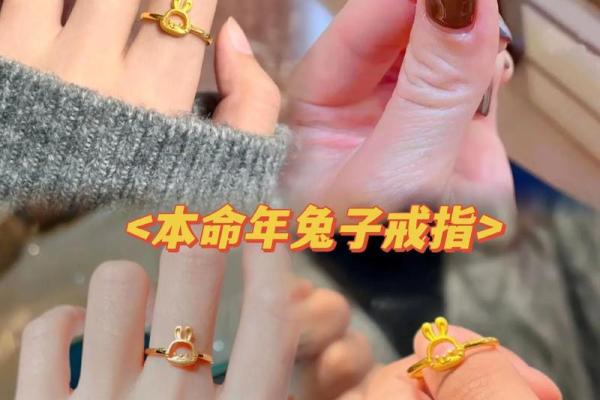 兔男本命年如何调整自己的生活步调 兔男本命年如何调整自己的生活步调