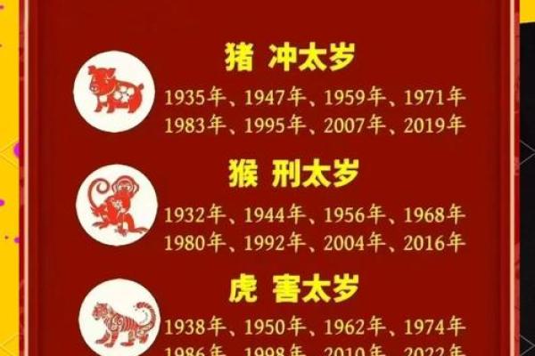 猪年运势解析与发展机会 猪年运势解析与发展机会