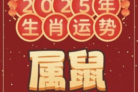 肖鼠运程详解：每月运势波动大揭秘