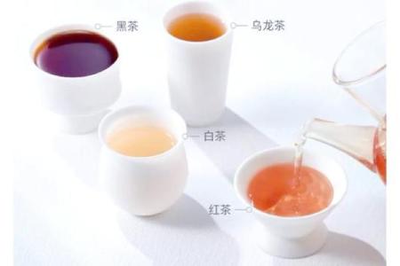 茶杯名字背后的文化象征与故事