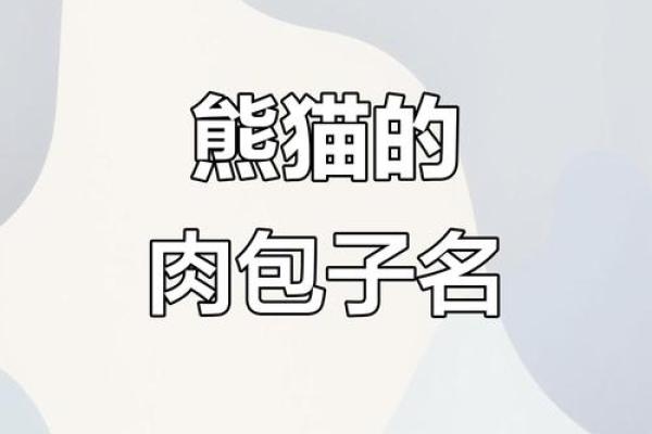 包子名字的演变与中国饮食文化 包子名字的演变与中国饮食文化