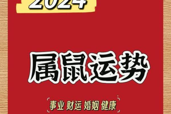 属鼠的本命年适合尝试哪些新事物