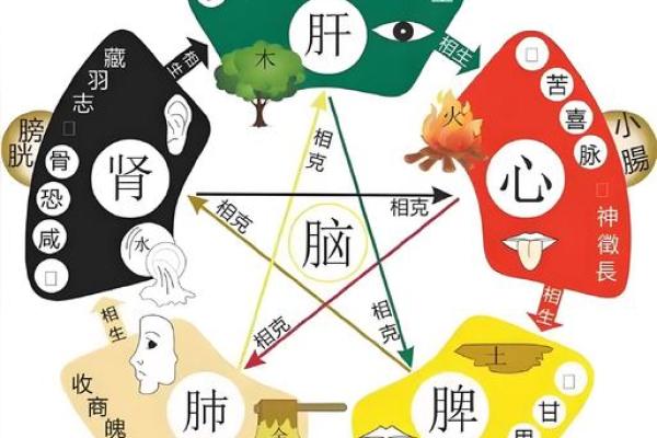 从五行角度解读火命的个性与运势