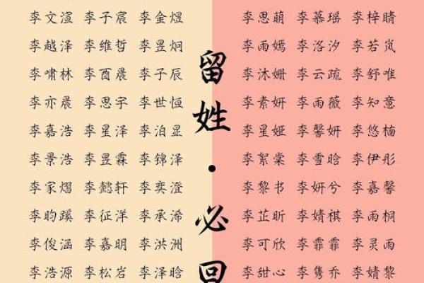 给李姓男宝宝起名:如何选择既有寓意又独特的名字 给李姓男宝宝起名:如何选择既有寓意又独特的名字
