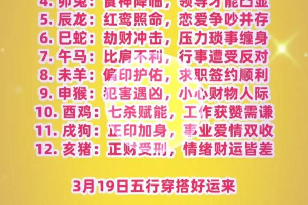 十二生肖运程详解,如何抓住好运的机会 十二生肖运程详解,如何抓住好运的机会