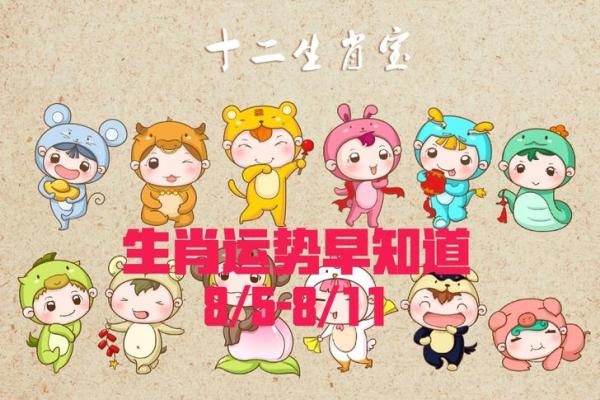 探秘生肖运程，哪些生肖需特别留意？