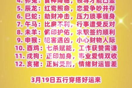 十二生肖运程详解，如何抓住好运的机会