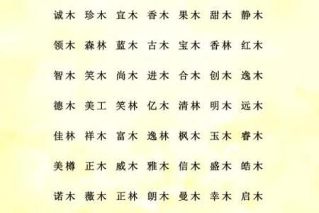 从“有木有火”看公司起名的独特魅力