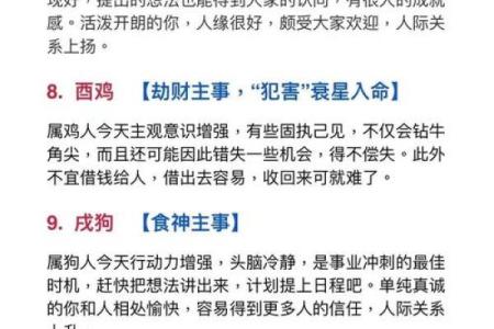 出生的人命运解析：属虎还是属兔，他们的性格与人生轨迹