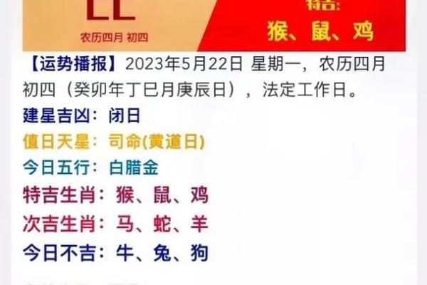 1984年运势指南：健康长寿，幸福安康