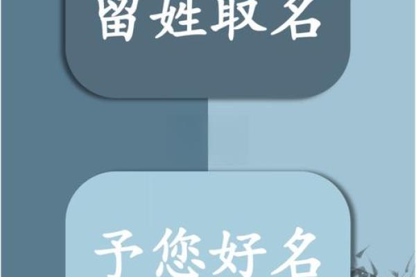 从润到兴：打造具有深厚文化底蕴的公司名字
