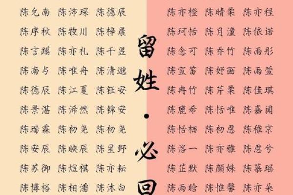 陈姓男孩起名的传统与现代趋势