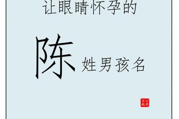 陈姓男孩起名的传统与现代趋势