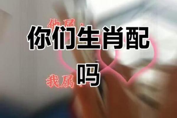 猴蛇配对:命理与生肖的深层联系 猴蛇配对:命理与生肖的深层联系