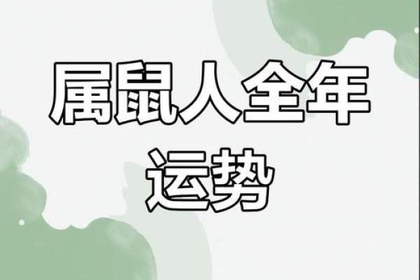 本命年属鼠如何做到财运和事业双丰收