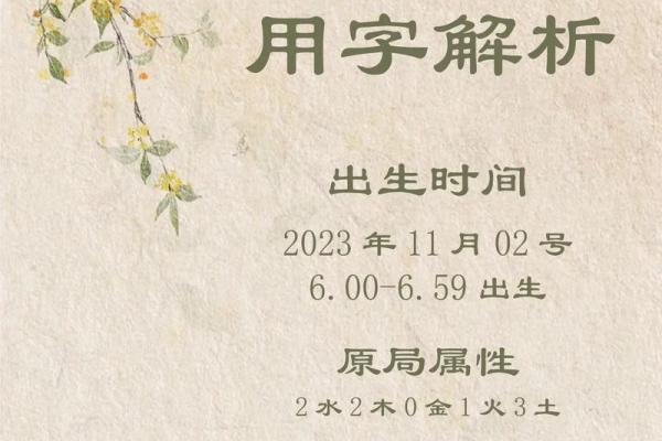 宝宝起名字的流行风格与文化背景
