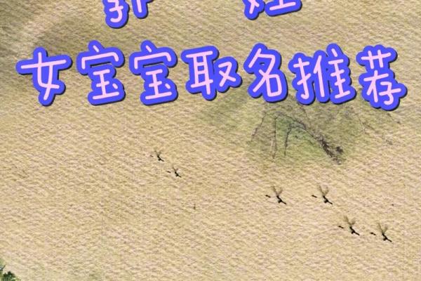 郭姓女宝宝名字大全：寓意美好且富有个性